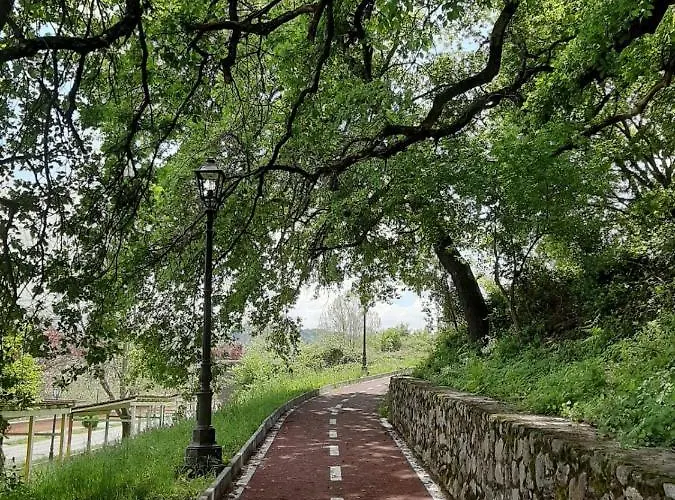 Casa Cenzina 公寓 科森扎